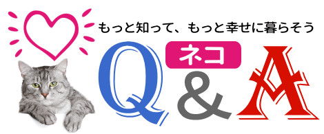 もっと知って、もっと幸せに暮らそう　猫　Q&A