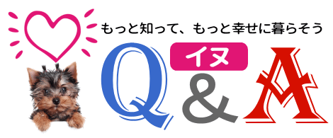 もっと知って、もっと幸せに暮らそう　犬　Q&A
