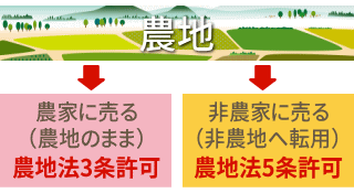 農地を誰に売るかで手続きが異なります。
