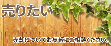 売りたい
