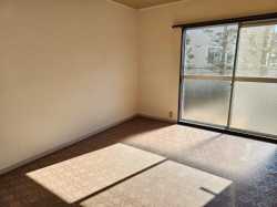 クリックで画像拡大